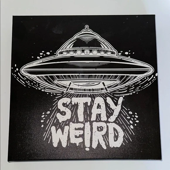 Black and White UFO Stay Weird Canvas Art - Picture 4 of 4